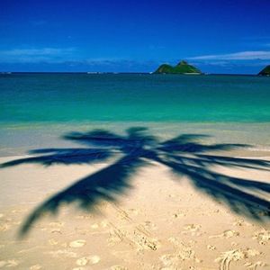 Meet your Posher, Beach