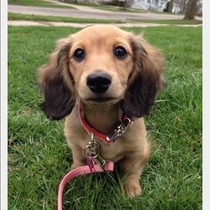 Meet your Posher, Marissa