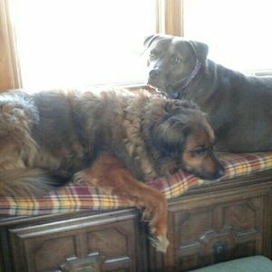 Meet your Posher, Ann