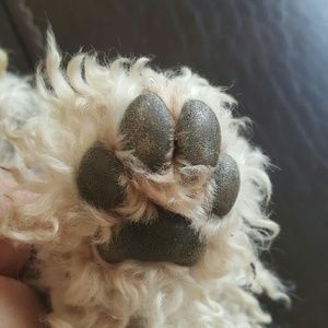 Meet your Posher, Wanda