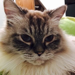 Meet your Posher, Xu