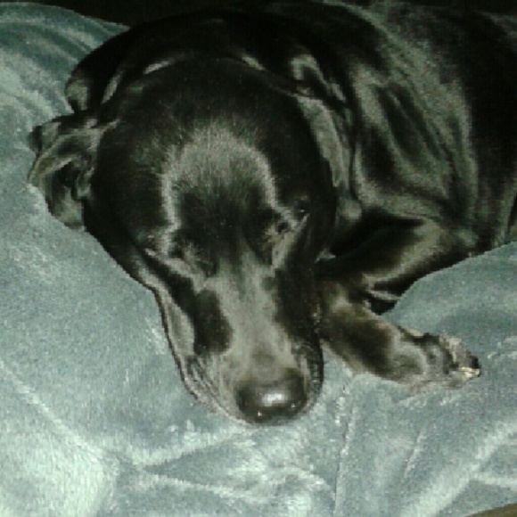 Meet your Posher, Shell - Picture 1 of 1