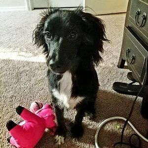 Meet your Posher, Joanna