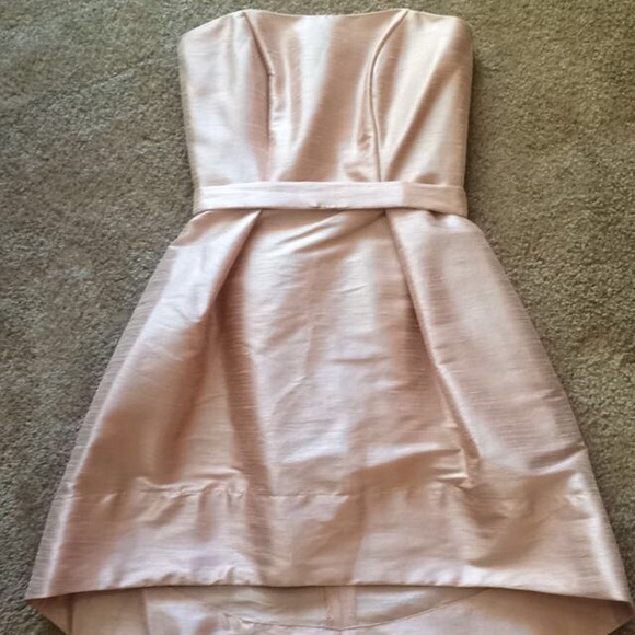 Strapless Blush Dress - Picture 3 of 4