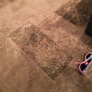 Meet your Posher, Marilyn