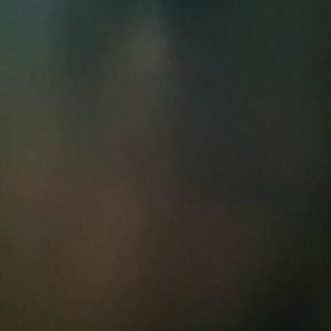 Meet your Posher, Monique