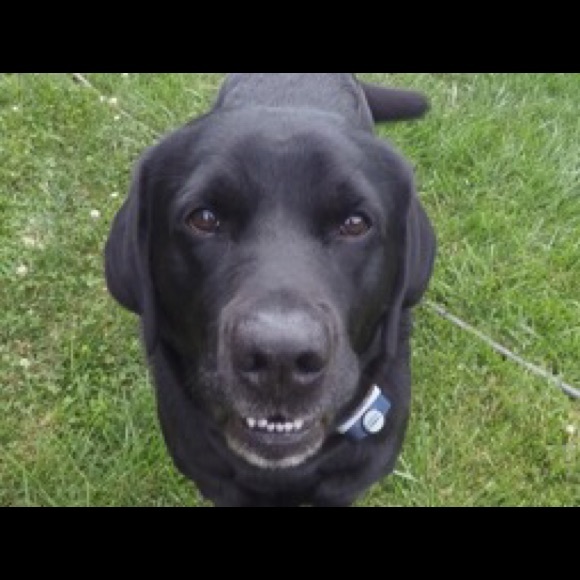 Meet your Posher, Linda - Picture 1 of 1