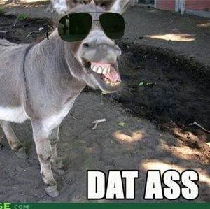 Meet your Posher, Joseph