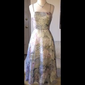 Jessica McClintock Dresses - 🌸Vintage Jessica McClintock Gown Jessica McClintock Dresses - 🌸Vintage Jessica McClintock Gown