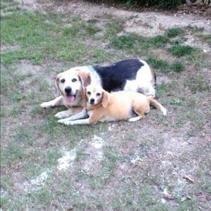 Meet your Posher, Janet