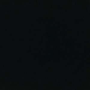 Meet your Posher, Trevor