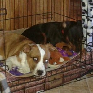 Meet your Posher, Jesenia