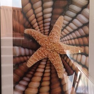 Meet your Posher, Cassandra