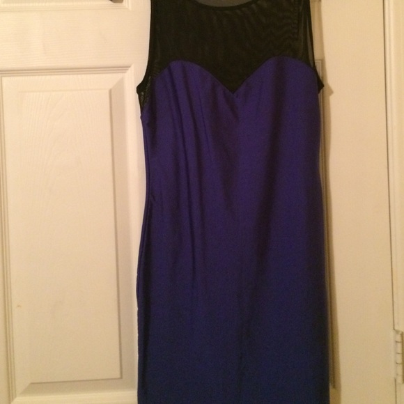 Sleeveless Black and Cobalt Mesh Bodycon Dress