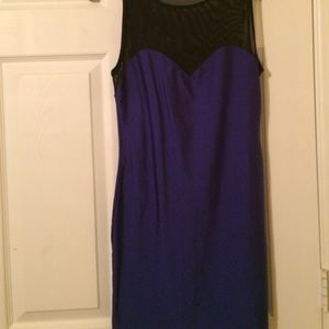 Sleeveless Black and Cobalt Mesh Bodycon Dress