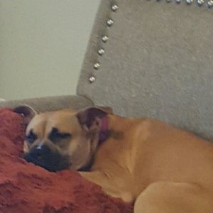 Meet your Posher, Donna