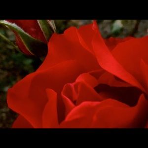 Meet your Posher, Lynn