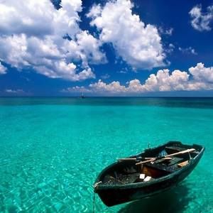 Meet your Posher, Regina