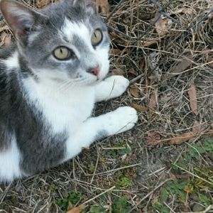 Meet your Posher, Teresa