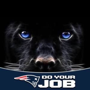 Meet your Posher, Susanne