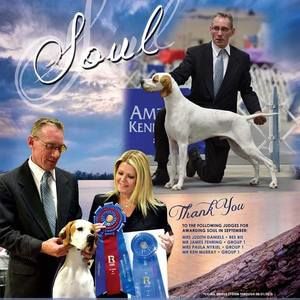 Meet your Posher, Tabatha