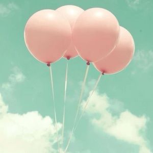 Meet your Posher, Priscilla