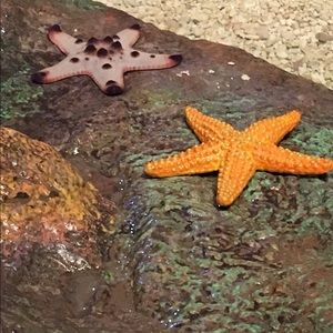 Meet your Posher, Leslie