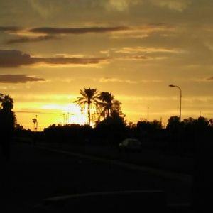 Meet your Posher, Tawana