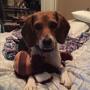 Meet your Posher, Jamie