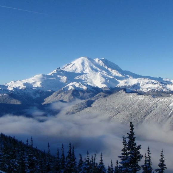 Meet your Posher, Anthony - Picture 1 of 1