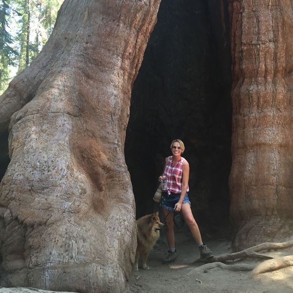 Meet your Posher, Jill e'lynn