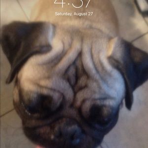 Meet your Posher, Gert