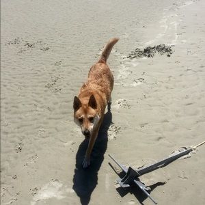 Meet your Posher, Ruby