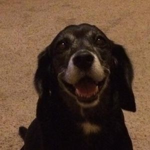 Meet your Posher, Sawyer