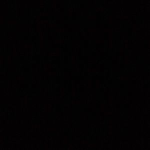 Meet your Posher, Jada