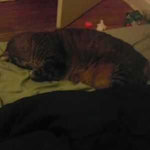 Meet your Posher, Marissa