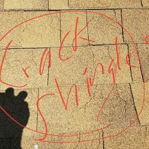 Meet your Posher, Miguel