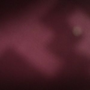 Meet your Posher, Alexxis