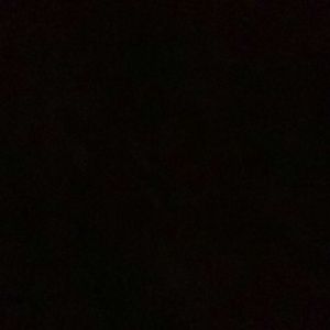 Meet your Posher, Mikey