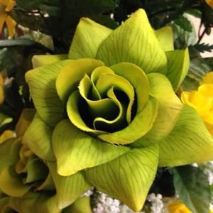 Meet your Posher, Laney