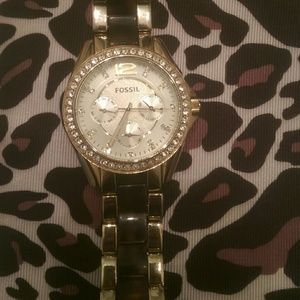 Fossil Tortoise Watch