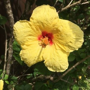 Meet your Posher, Daniella