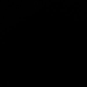 Meet your Posher, Ariana