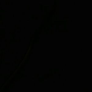 Meet your Posher, Alvaro