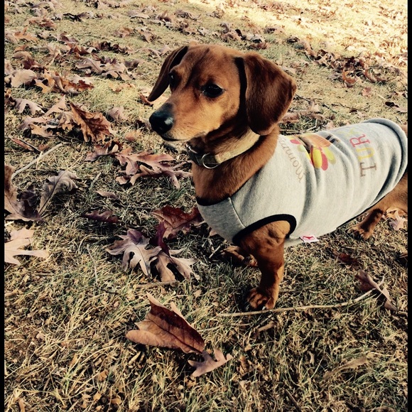 Meet your Posher, Laurie - Picture 2 of 4