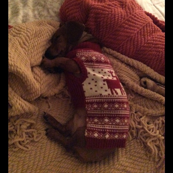 Meet your Posher, Laurie - Picture 3 of 4