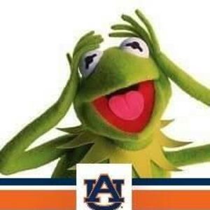 Meet your Posher, Derek