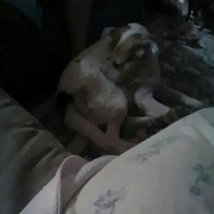 Meet your Posher, Barbara