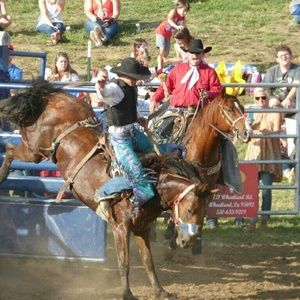 Meet your Posher, Diane