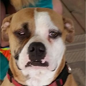 Meet your Posher, Robin